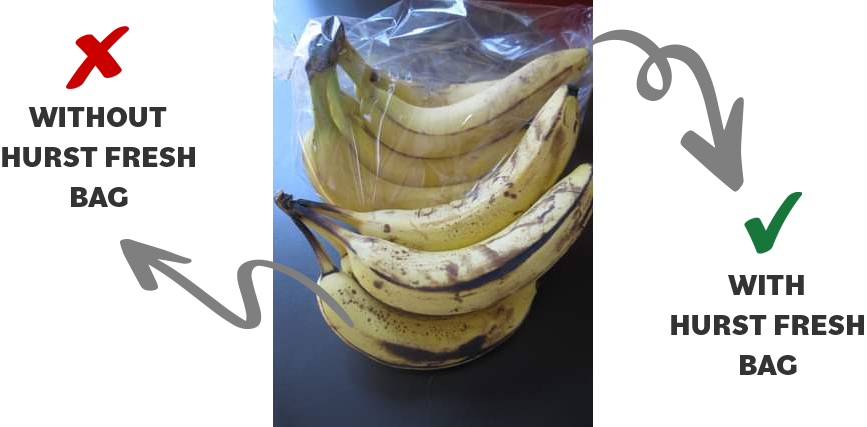 Banana Comparison With/Without Hurst Fresh Bags